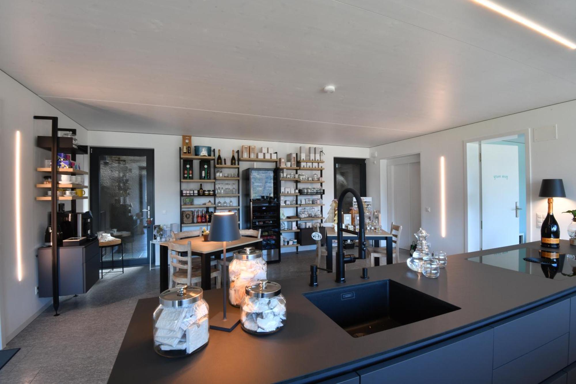 The Window Hotel Bellinzona Exterior photo